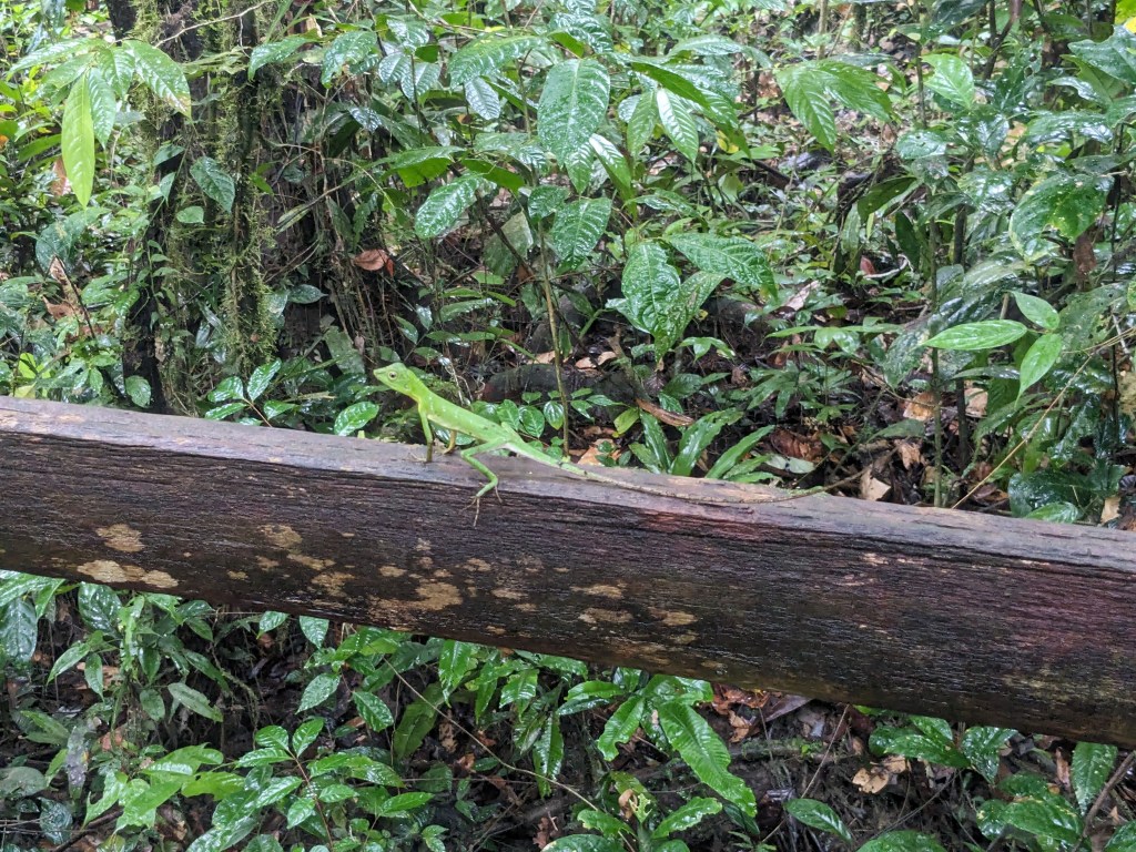 Mulu National Park (Part&nbsp;1)